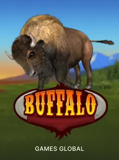 Video Bingo - Buffalo